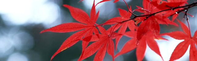 婚活イベントン参加する